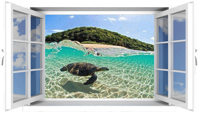 не спеши с оплатой 